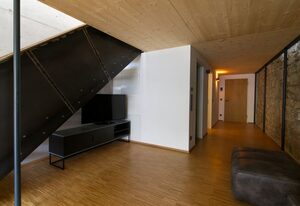 Adlerhaus,  Loft Wörner -410-