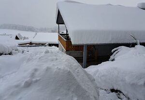 Alpenblick