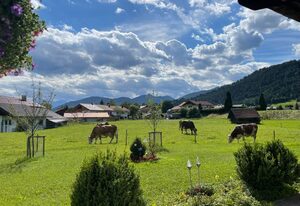 Hacklhof – "Landliebe" Fewo/1 Schlafraum/Bad,WC
