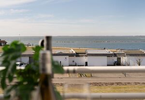 StrandMöwe