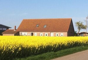 An der alten Pappel Nr. 1