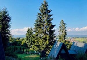 Hütte 19