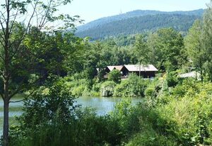 Feriendorf im Bayerischer Wald – Ferienhaus 12  See-und Bayerwaldblick, 30 m zum See 2-10 Pers plus 2 Babys und Hunde im Feriendorf Hohen Bogen