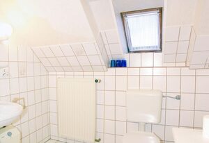 An der alten Pappel Nr. 2