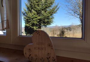Haus Schönbrunner – Ferienhaus mit Holzterrasse
