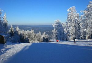 Birkenhain