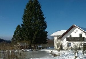 Wohnung in Haidmühle mit Garten und Grill