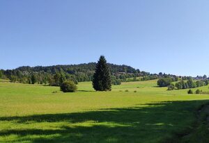 Ferienhof Degenhart – Ferienwohnung Sonnenblume