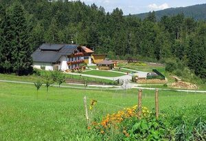 Haus Spannbauer - Wohnung Fuchsenstein