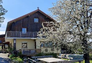 Ferienwohnung Ritzinger – Ferienwohnung mit Terrasse