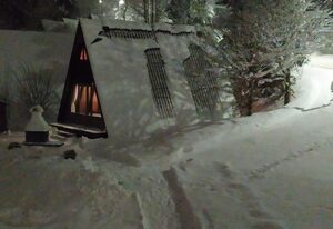Freyunger Nurdachhaus