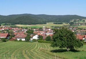 Ferienwohnung Bierl – Ferienwohnung mit Terrasse und Bergblick auf den Hohen Bogen