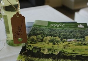 Appartementhaus im Himmelreich – App.Osser/Balkon, 2.Stock