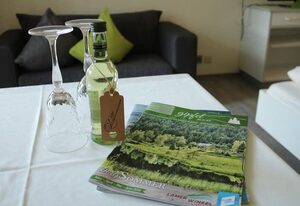 Appartementhaus im Himmelreich – App.Osser/Balkon, 2.Stock