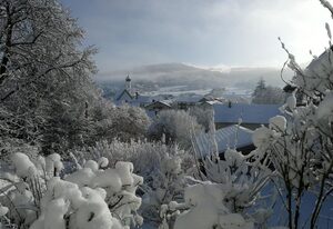 Waldheimat
