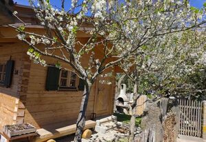 Blockhütte bei den Hühnchen – Blockhütte mit Terrasse