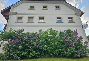 Kräuterhof – Apfelblüte