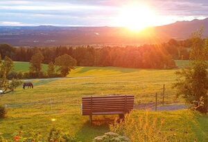 Hof Roßruck – FW Haflinger