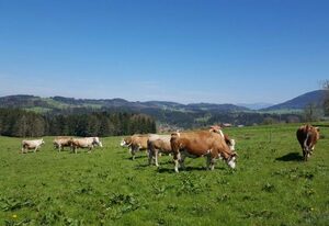 Biohof Unterstadl – Wendelstein