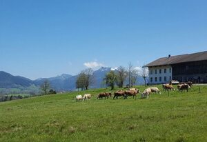 Biohof Unterstadl – Wendelstein