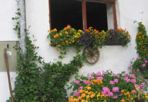 Gottenbichlhof – Ferienwohnung Aiplspitz