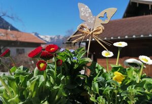Haus Lohmann Ferienwohnungen – Ferienwohnung grün