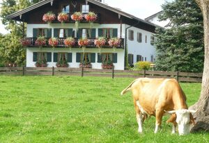 Biohof Kordes – Ferienwohnung Esche