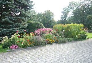 Biohof Kordes – Ferienwohnung Esche