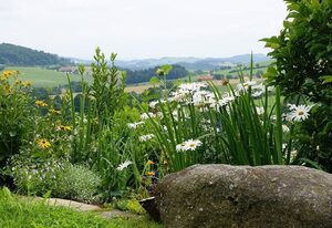 Ferienwohnung Lankl im Bayerischen Wald – Ferienwohnung Weitblick (63qm) mit WLAN und Balkon