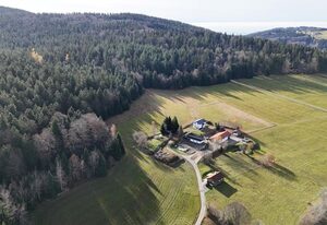 Wild Life Ranch – Ferienhaus Bonfire mit Infrarotsauna