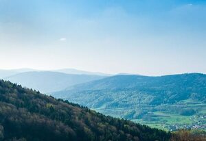 Panorama-Landgasthof Ranzinger – Einzelzimmer Standard