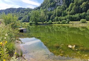 Ferienwohnung Okami - Am Wolfsee