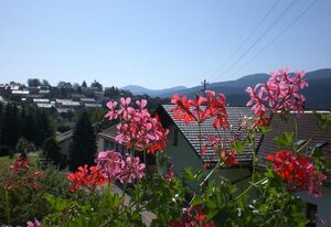 Reindl Peter – Ferienwohnung Osserblick 70 qm