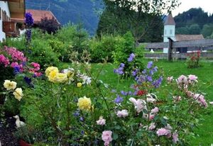 Haus Andrea Gästezimmer und Ferienwohnung – Dreibettzimmer