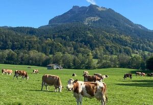 Ferienwohnung Bergzeit - Zollner Priska – Wendelstein
