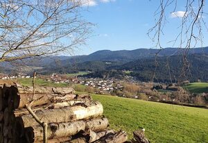 Hotel zur Post – Fewo Osserblick