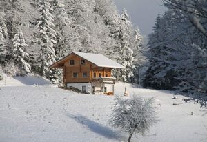 Chalet Blumental – Chalet mit Sauna