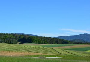 Haus "Marie" – Ferienwohnung mit großem Garten und Terrasse