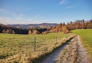 Ferienwohnungen Wald und Wiese – Ferienwohnung Wiese mit überdachter Außenlounge