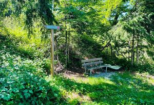 Appartement zum Hirsch'n – Ferienwohnung zum Hirschn