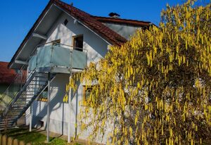 Fewo Karoli – Ferienwohnung 50qm mit Balkon