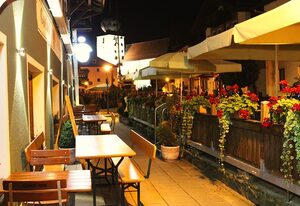 Bayerische Gastwirtschaft Dimpfl-Stadl – Ferienwohnung 100qm