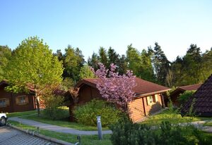 Blockhaus Hedwig Haus 10
