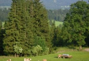 Heissnhof Gschwendtner – Wohnung Breitenstein