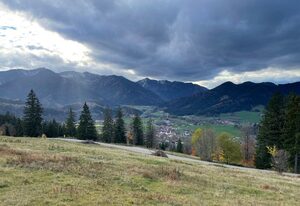 Bamberger Monika – Zuhause am Bach