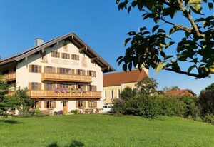 Agelbauer – Birnbaum