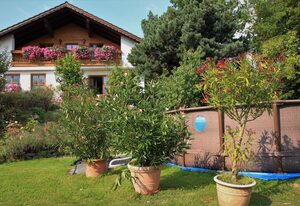 Apartment-Ferienwohnung Penzkofer