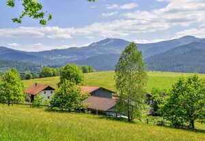 Urlaub auf dem Haberlhof – Wohnung Buche 50 qm