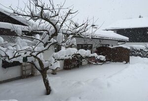 Ferienwohnungen Haus Eva Hagn – Ferienwohnung Hirschberg