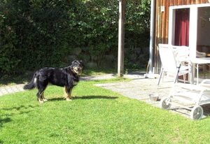 in Zandt mit Garten, Terrasse und Grill